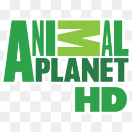 Animal Planet Logo PNG and Animal Planet Logo Transparent Clipart Free  Download. - CleanPNG / KissPNG