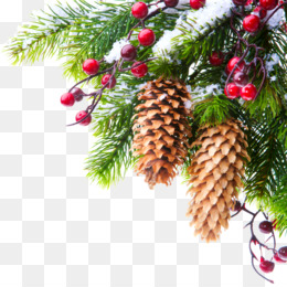 Download Creative Christmas Tree Png Creative Christmas Trees Cleanpng Kisspng SVG Cut Files