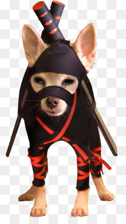 Ninja Dog PNG - ninja-dog-logo ninja-dog-funny ninja-dog-drawings ninja-dog- wallpaper ninja-dog-animated ninja-dog-cartoon. - CleanPNG / KissPNG