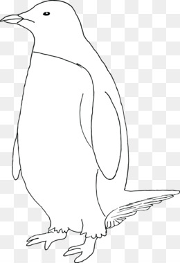 Tay Vẽ Chim Cánh Cụt PNG & Tay Vẽ Chim Cánh Cụt Transparent Clipart Miễn  phí Tải về - Mỏ nghệ thuật Đường Bay chim Trắng - tay vẽ chim cánh cụt.