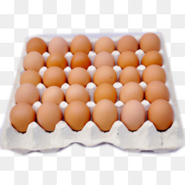 White eggs in carton box on transparent background PNG - Similar PNG