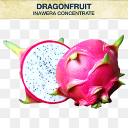 Dragon Fruit PNG - dragon-fruit-cartoon dragon-fruit-animation dragon-fruit-drawing  yellow-dragon-fruit fire-dragon-fruit dragon-fruit-frames dragon-fruit-books  dragon-fruit-background dragon-fruit-artwork dragon-fruit-cartoons dragon- fruit-home dragon