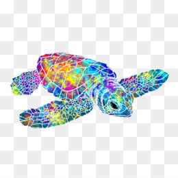 Featured image of post Watercolor Sea Turtle Wallpaper This listing is for a watercolor sea turtle painting in colors of blues turquoises purples pinks oranges and yellows