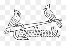 st louis cardinals coloring pages