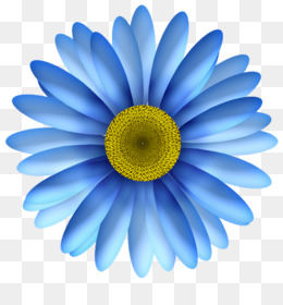 Blue Daisy Png Blue Daisy Flower Cleanpng Kisspng