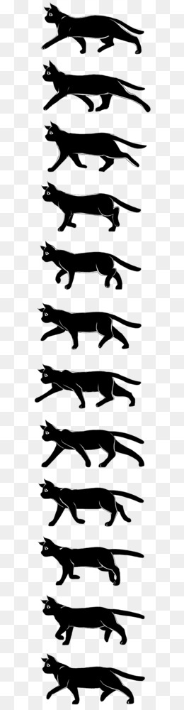Featured image of post Cat Walking Drawing Reference Cats are capable of walking very precisely because like all felines they directly register