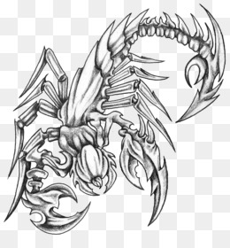 Scorpion Tattoo Clip Art Zodiac Transparent PNG