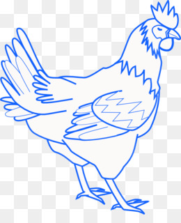 Blue Foot Chicken PNG and Blue Foot Chicken Transparent Clipart Free  Download. - CleanPNG / KissPNG