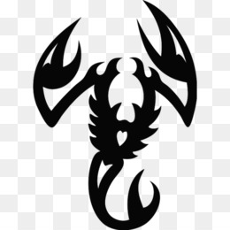 Scorpion Tattoo PNG HD Image  PNG All