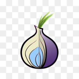 Tor browser png hidra браузер похожие на тор hyrda вход