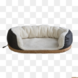 Featured image of post Dog Bed Cartoon Png Dog png image picture download dogs format