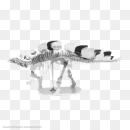 Enigma de madeira T-Rex Skelet PNG transparente - StickPNG