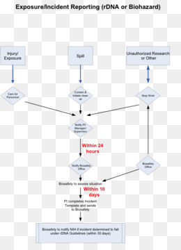 Incident Reporting Flow Chart Template