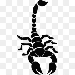Scorpion Tattoo png images  PNGWing