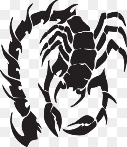 Scorpion Tattoos Clipart Ribbon  Tribal Scorpion Tattoo Png  600x597 PNG  Download  PNGkit