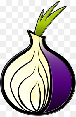 Tor browser png hidra ресурсы tor browser gydra