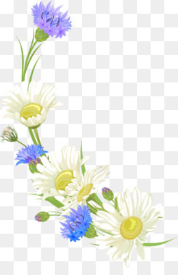 Aster Flower Png And Aster Flower Transparent Clipart Free Download Cleanpng Kisspng,Chocolate Muffin Recipe Jamie Oliver