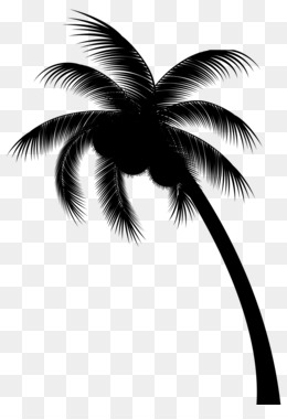 Black Palm Tree PNG - black-palm-tree-logo black-palm-tree-pattern black -palm-tree-wallpaper black-palm-tree-coloring-pages black-palm-tree-design  black-palm-tree-drawing black-palm-tree-silhouette. - CleanPNG / KissPNG