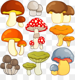 Frog Cartoon png download - 744*800 - Free Transparent Mushroom png