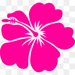 Hawaiian Flowers PNG - cartoon-hawaiian-flowers. - CleanPNG / KissPNG
