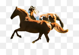 horse mustang horse stallion animal sports animal figure
