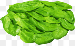 green leaf vegetable leaf vegetable spinach